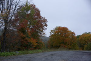 Automne