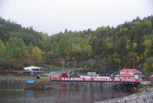 VILLAGE DE TADOUSSAC