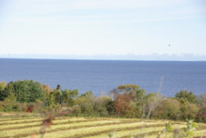 Lac St Jean