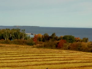 Lac St Jean