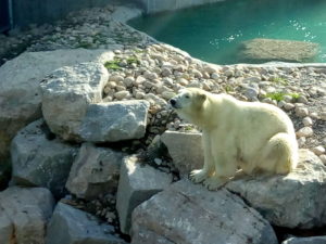Zoo de St-Felicien